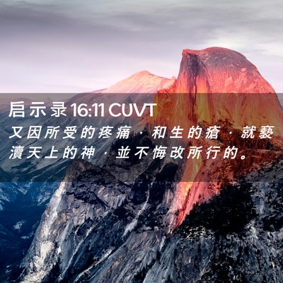 Picture 02 - 启 示 录 16:11 CUVT - 又 因 所 受 的 疼 痛 ， 和 生 的 瘡 - Bible Verse Picture