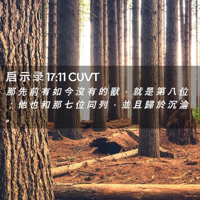 Picture 02 - 启 示 录 17:11 CUVT - 那 先 前 有 如 今 沒 有 的 獸 ， 就 - Bible Verse Picture