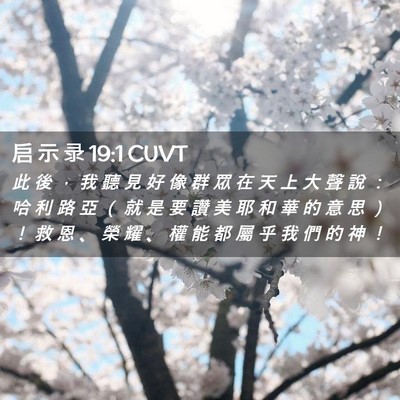 Picture 02 - 启 示 录 19:1 CUVT - 此 後 ， 我 聽 見 好 像 群 眾 在 天 - Bible Verse Picture