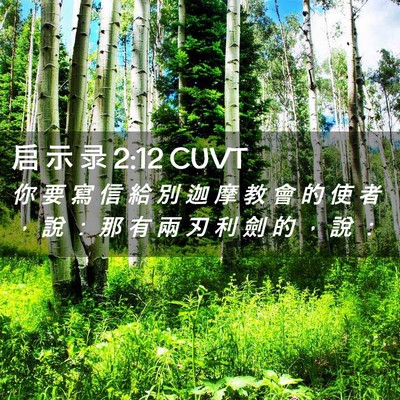 Picture 02 - 启 示 录 2:12 CUVT - 你 要 寫 信 給 別 迦 摩 教 會 的 使 - Bible Verse Picture