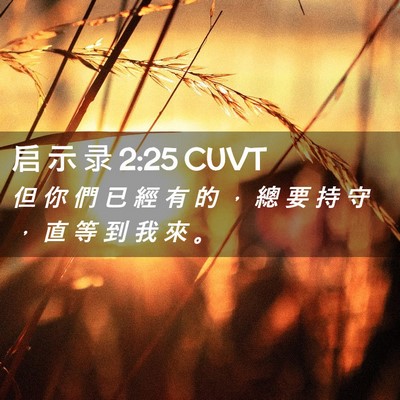 Picture 02 - 启 示 录 2:25 CUVT - 但 你 們 已 經 有 的 ， 總 要 持 守 - Bible Verse Picture