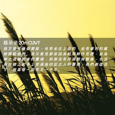 Picture 02 - 启 示 录 20:4 CUVT - 我 又 看 見 幾 個 寶 座 ， 也 有 坐 - Bible Verse Picture