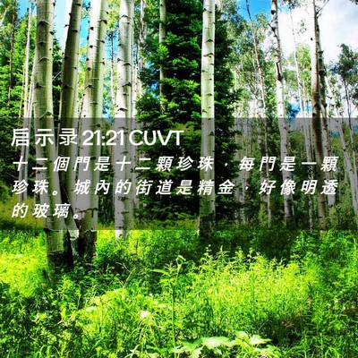 Picture 02 - 启 示 录 21:21 CUVT - 十 二 個 門 是 十 二 顆 珍 珠 ， 每 - Bible Verse Picture
