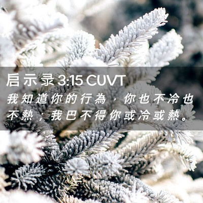 Picture 02 - 启 示 录 3:15 CUVT - 我 知 道 你 的 行 為 ， 你 也 不 冷 - Bible Verse Picture