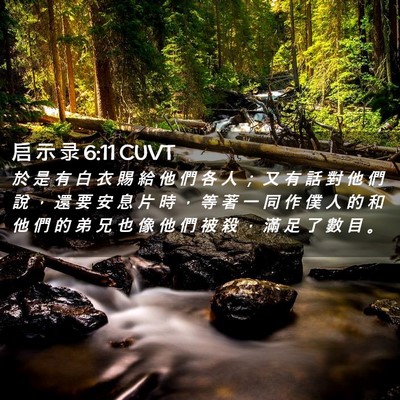 Picture 02 - 启 示 录 6:11 CUVT - 於 是 有 白 衣 賜 給 他 們 各 人 ； - Bible Verse Picture