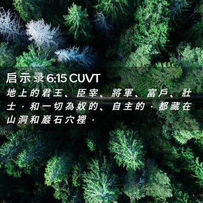 Picture 02 - 启 示 录 6:15 CUVT - 地 上 的 君 王 、 臣 宰 、 將 軍 、 - Bible Verse Picture