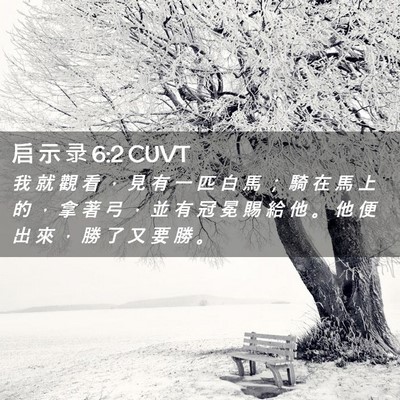 Picture 02 - 启 示 录 6:2 CUVT - 我 就 觀 看 ， 見 有 一 匹 白 馬 ； - Bible Verse Picture
