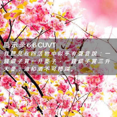 Picture 02 - 启 示 录 6:6 CUVT - 我 聽 見 在 四 活 物 中 似 乎 有 聲 - Bible Verse Picture