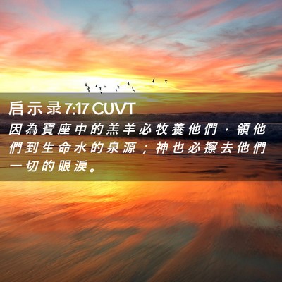 Picture 02 - 启 示 录 7:17 CUVT - 因 為 寶 座 中 的 羔 羊 必 牧 養 他 - Bible Verse Picture