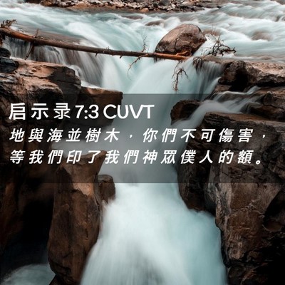 Picture 02 - 启 示 录 7:3 CUVT - 地 與 海 並 樹 木 ， 你 們 不 可 傷 - Bible Verse Picture