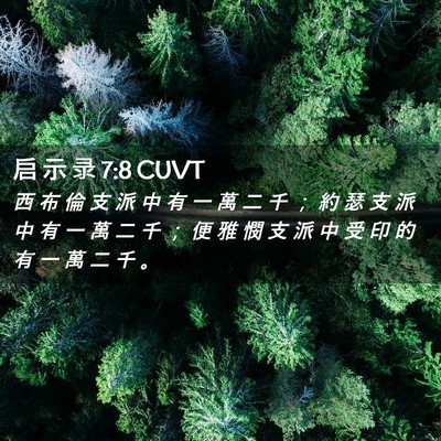 Picture 02 - 启 示 录 7:8 CUVT - 西 布 倫 支 派 中 有 一 萬 二 千 ； - Bible Verse Picture