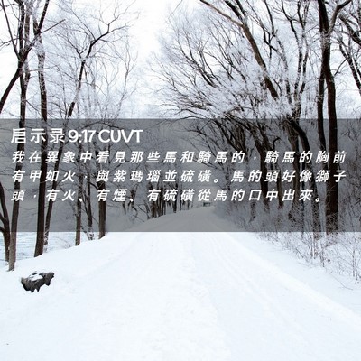Picture 02 - 启 示 录 9:17 CUVT - 我 在 異 象 中 看 見 那 些 馬 和 騎 - Bible Verse Picture
