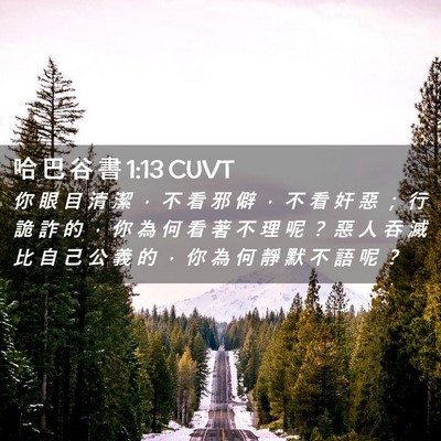 Picture 02 - 哈 巴 谷 書 1:13 CUVT - 你 眼 目 清 潔 ， 不 看 邪 僻 ， 不 - Bible Verse Picture