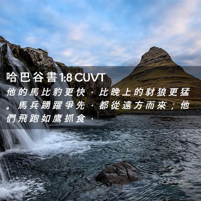 Picture 02 - 哈 巴 谷 書 1:8 CUVT - 他 的 馬 比 豹 更 快 ， 比 晚 上 的 - Bible Verse Picture