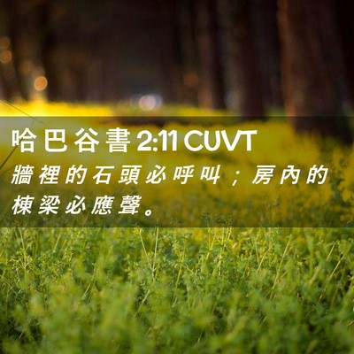 Picture 02 - 哈 巴 谷 書 2:11 CUVT - 牆 裡 的 石 頭 必 呼 叫 ； 房 內 的 - Bible Verse Picture