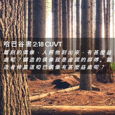 Picture 02 - 哈 巴 谷 書 2:18 CUVT - 雕 刻 的 偶 像 ， 人 將 他 刻 出 來 - Bible Verse Picture