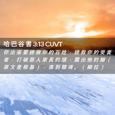 Picture 02 - 哈 巴 谷 書 3:13 CUVT - 你 出 來 要 拯 救 你 的 百 姓 ， 拯 - Bible Verse Picture