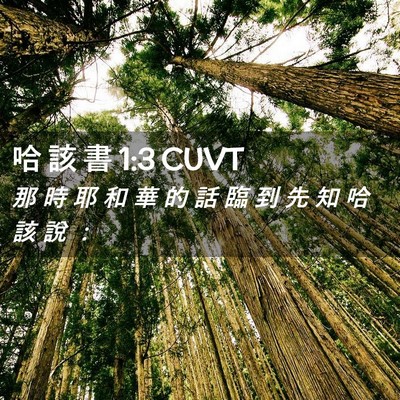 Picture 02 - 哈 該 書 1:3 CUVT - 那 時 耶 和 華 的 話 臨 到 先 知 哈 - Bible Verse Picture
