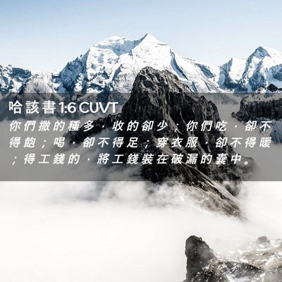 Picture 02 - 哈 該 書 1:6 CUVT - 你 們 撒 的 種 多 ， 收 的 卻 少 ； - Bible Verse Picture