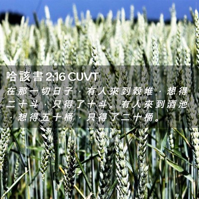 Picture 02 - 哈 該 書 2:16 CUVT - 在 那 一 切 日 子 ， 有 人 來 到 穀 - Bible Verse Picture
