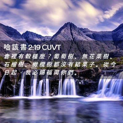 Picture 02 - 哈 該 書 2:19 CUVT - 倉 裡 有 穀 種 麼 ？ 葡 萄 樹 、 無 - Bible Verse Picture