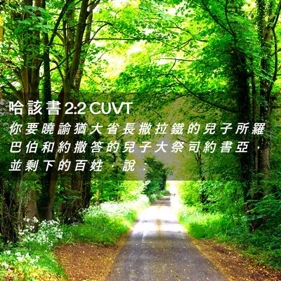 Picture 02 - 哈 該 書 2:2 CUVT - 你 要 曉 諭 猶 大 省 長 撒 拉 鐵 的 - Bible Verse Picture