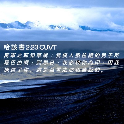 Picture 02 - 哈 該 書 2:23 CUVT - 萬 軍 之 耶 和 華 說 ： 我 僕 人 撒 - Bible Verse Picture