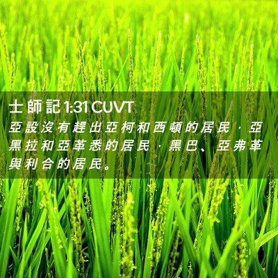 Picture 02 - 士 師 記 1:31 CUVT - 亞 設 沒 有 趕 出 亞 柯 和 西 頓 的 - Bible Verse Picture
