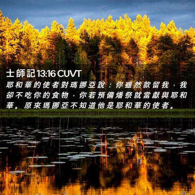 Picture 02 - 士 師 記 13:16 CUVT - 耶 和 華 的 使 者 對 瑪 挪 亞 說 ： - Bible Verse Picture