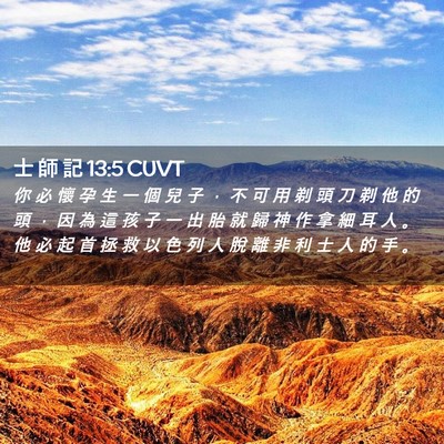 Picture 02 - 士 師 記 13:5 CUVT - 你 必 懷 孕 生 一 個 兒 子 ， 不 可 - Bible Verse Picture