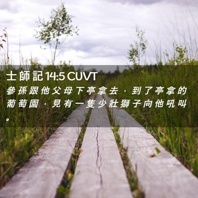 Picture 02 - 士 師 記 14:5 CUVT - 參 孫 跟 他 父 母 下 亭 拿 去 ， 到 - Bible Verse Picture