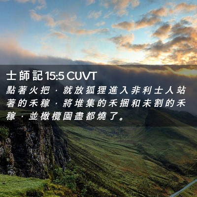 Picture 02 - 士 師 記 15:5 CUVT - 點 著 火 把 ， 就 放 狐 狸 進 入 非 - Bible Verse Picture