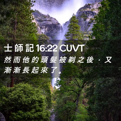 Picture 02 - 士 師 記 16:22 CUVT - 然 而 他 的 頭 髮 被 剃 之 後 ， 又 - Bible Verse Picture
