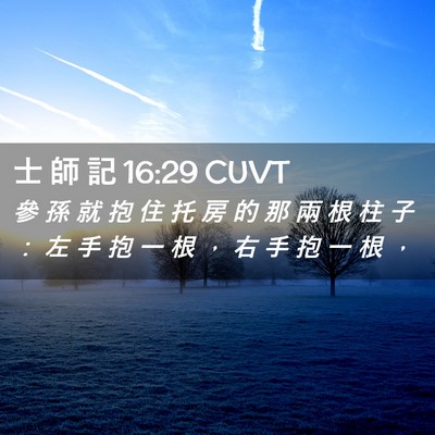 Picture 02 - 士 師 記 16:29 CUVT - 參 孫 就 抱 住 托 房 的 那 兩 根 柱 - Bible Verse Picture