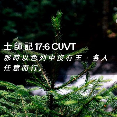 Picture 02 - 士 師 記 17:6 CUVT - 那 時 以 色 列 中 沒 有 王 ， 各 人 - Bible Verse Picture