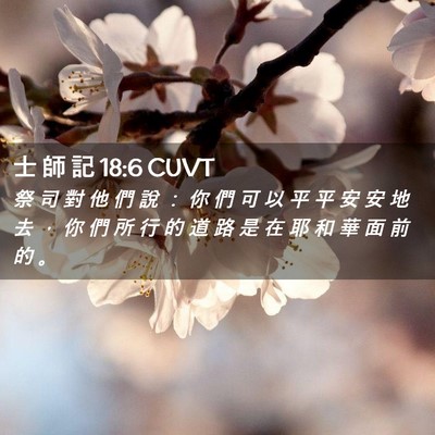 Picture 02 - 士 師 記 18:6 CUVT - 祭 司 對 他 們 說 ： 你 們 可 以 平 - Bible Verse Picture