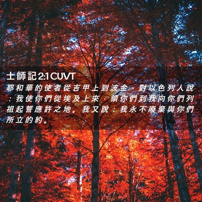 Picture 02 - 士 師 記 2:1 CUVT - 耶 和 華 的 使 者 從 吉 甲 上 到 波 - Bible Verse Picture