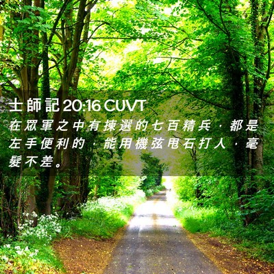 Picture 02 - 士 師 記 20:16 CUVT - 在 眾 軍 之 中 有 揀 選 的 七 百 精 - Bible Verse Picture