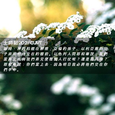 Picture 02 - 士 師 記 20:27 CUVT - 那 時 ， 神 的 約 櫃 在 那 裡 ； 亞 - Bible Verse Picture