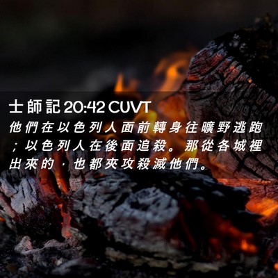 Picture 02 - 士 師 記 20:42 CUVT - 他 們 在 以 色 列 人 面 前 轉 身 往 - Bible Verse Picture