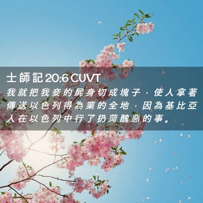 Picture 02 - 士 師 記 20:6 CUVT - 我 就 把 我 妾 的 屍 身 切 成 塊 子 - Bible Verse Picture