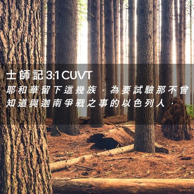Picture 02 - 士 師 記 3:1 CUVT - 耶 和 華 留 下 這 幾 族 ， 為 要 試 - Bible Verse Picture