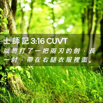 Picture 02 - 士 師 記 3:16 CUVT - 以 笏 打 了 一 把 兩 刃 的 劍 ， 長 - Bible Verse Picture