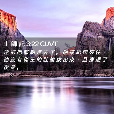 Picture 02 - 士 師 記 3:22 CUVT - 連 劍 把 都 刺 進 去 了 。 劍 被 肥 - Bible Verse Picture