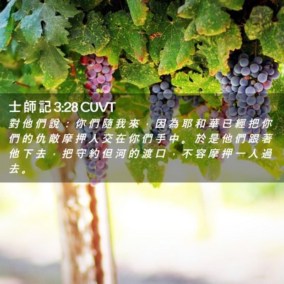 Picture 02 - 士 師 記 3:28 CUVT - 對 他 們 說 ： 你 們 隨 我 來 ， 因 - Bible Verse Picture