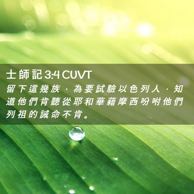 Picture 02 - 士 師 記 3:4 CUVT - 留 下 這 幾 族 ， 為 要 試 驗 以 色 - Bible Verse Picture