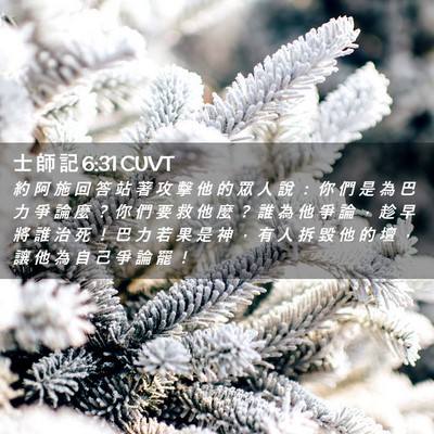 Picture 02 - 士 師 記 6:31 CUVT - 約 阿 施 回 答 站 著 攻 擊 他 的 眾 - Bible Verse Picture