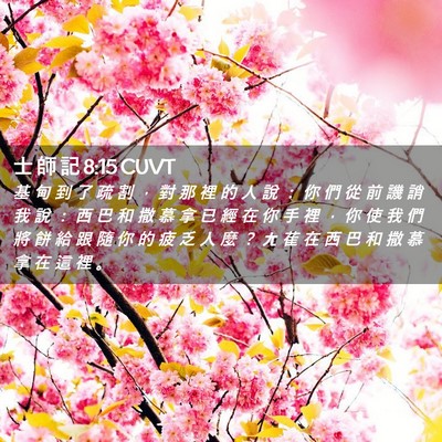 Picture 02 - 士 師 記 8:15 CUVT - 基 甸 到 了 疏 割 ， 對 那 裡 的 人 - Bible Verse Picture