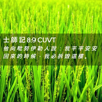 Picture 02 - 士 師 記 8:9 CUVT - 他 向 毗 努 伊 勒 人 說 ： 我 平 平 - Bible Verse Picture