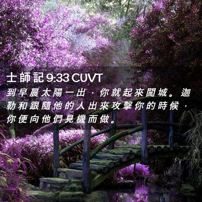 Picture 02 - 士 師 記 9:33 CUVT - 到 早 晨 太 陽 一 出 ， 你 就 起 來 - Bible Verse Picture